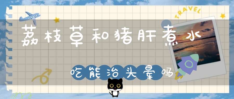 荔枝草和猪肝煮水吃能治头晕吗？