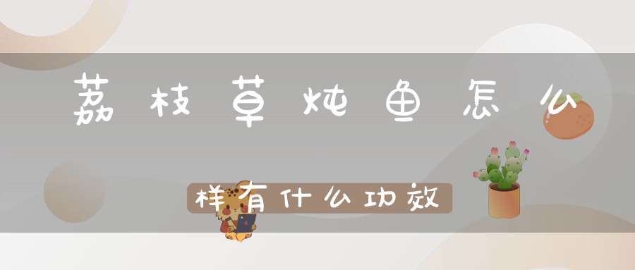 荔枝草炖鱼怎么样有什么功效？