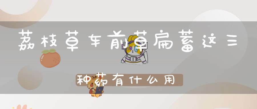 荔枝草车前草扁蓄这三种药有什么用？