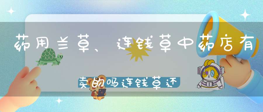 药用兰草、连钱草中药店有卖的吗连钱草还有其他的学名吗？