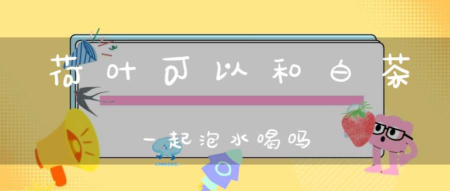 荷叶可以和白茶一起泡水喝吗