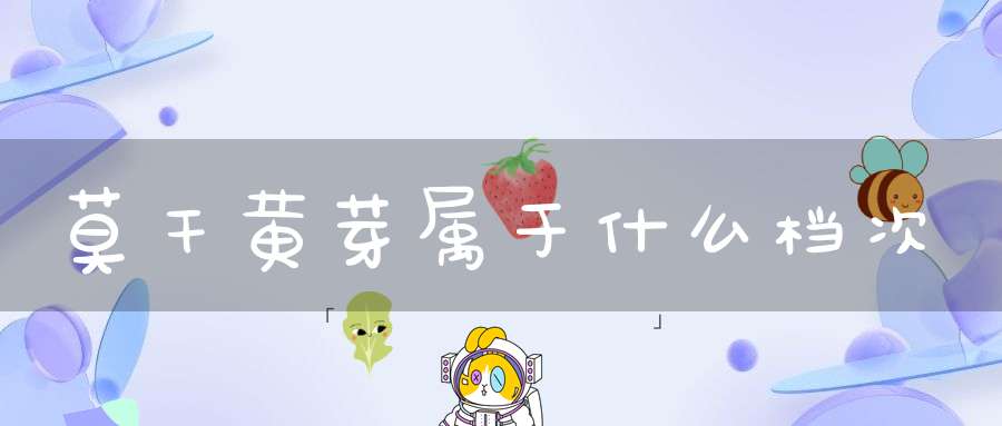 莫干黄芽属于什么档次