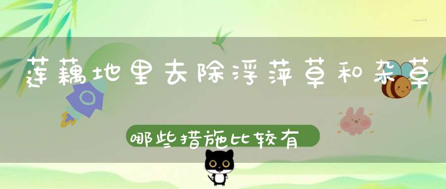 莲藕地里去除浮萍草和杂草哪些措施比较有效？