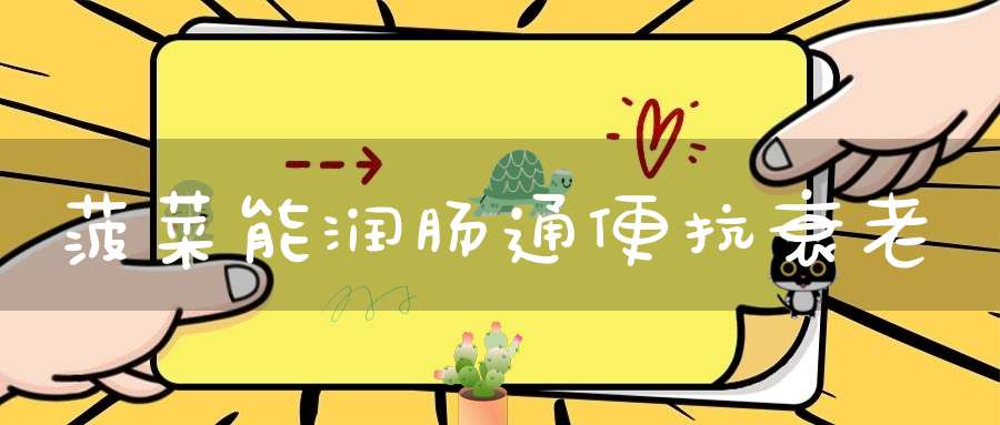 菠菜能润肠通便抗衰老