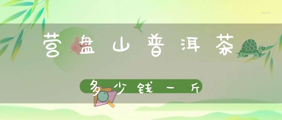营盘山普洱茶多少钱一斤