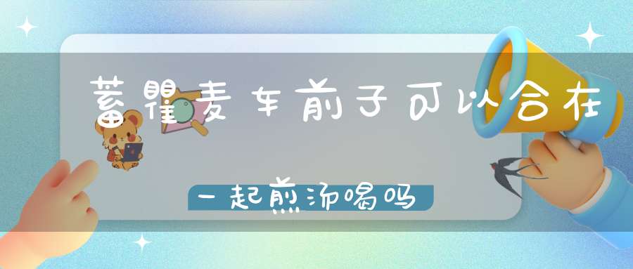 萹蓄瞿麦车前子可以合在一起煎汤喝吗？