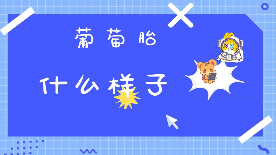 葡萄胎什么样子