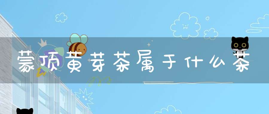 蒙顶黄芽茶属于什么茶