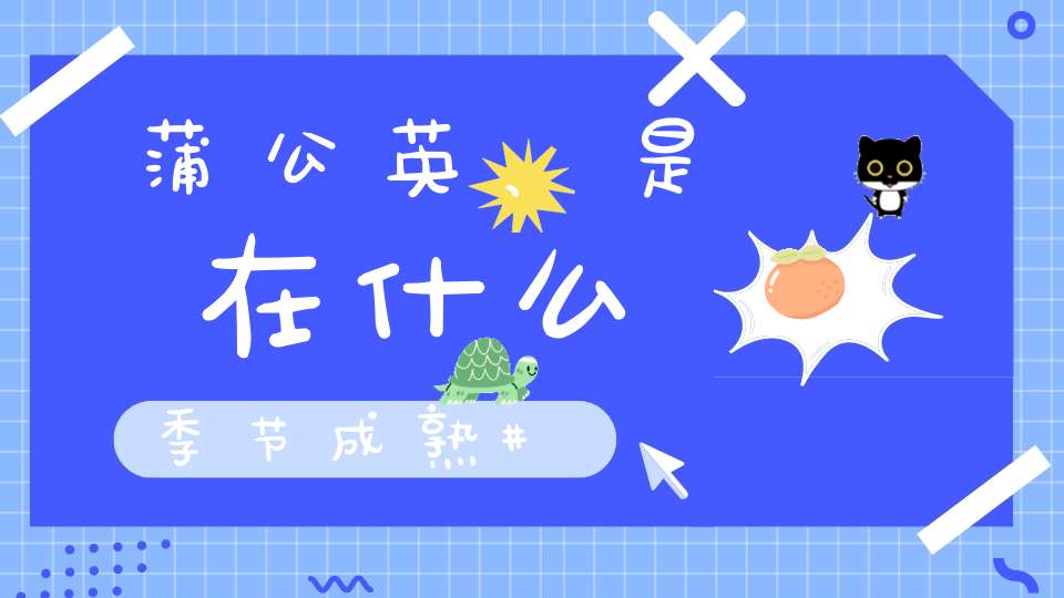 蒲公英、是在什么季节成熟？