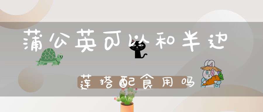 蒲公英可以和半边莲搭配食用吗？