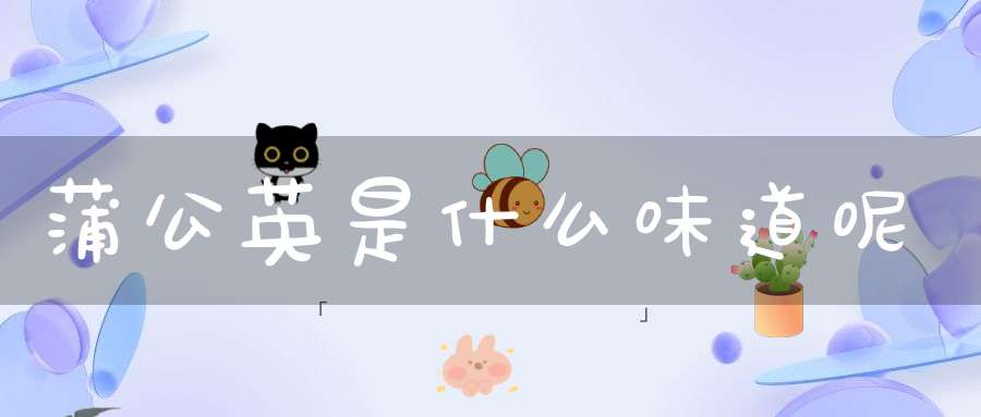 蒲公英是什么味道呢？