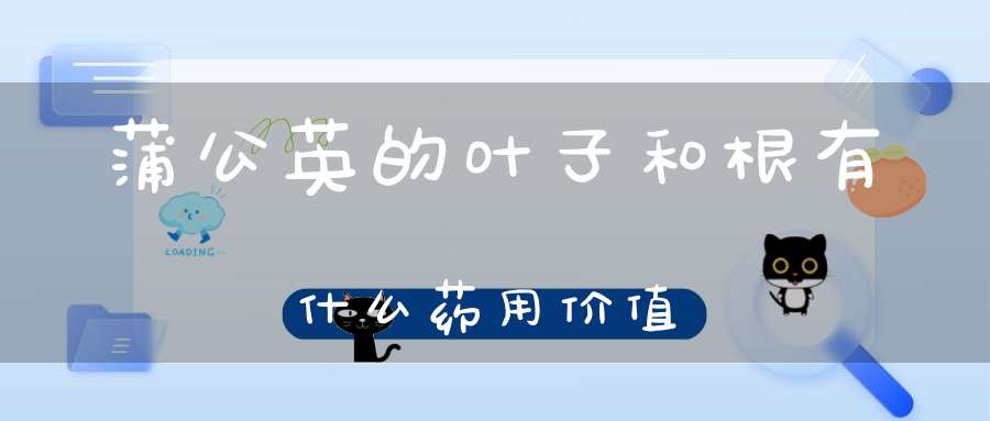 蒲公英的叶子和根有什么药用价值？