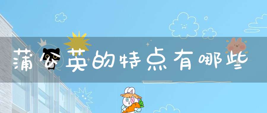 蒲公英的特点有哪些？