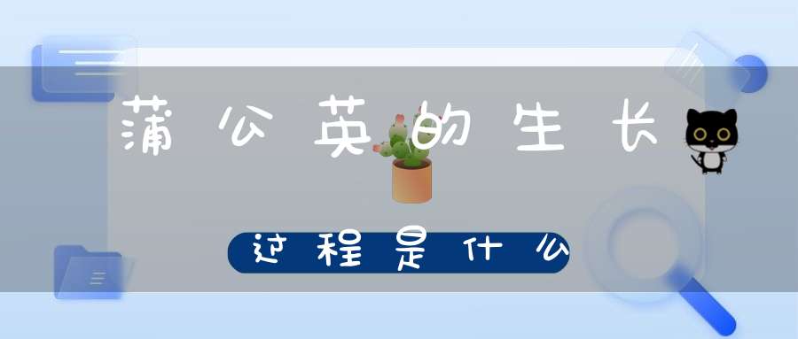 蒲公英的生长过程是什么？