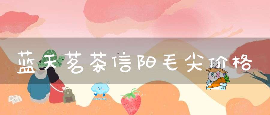 蓝天茗茶信阳毛尖价格