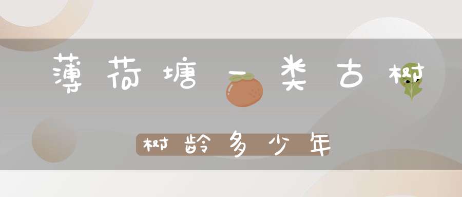 薄荷塘一类古树树龄多少年