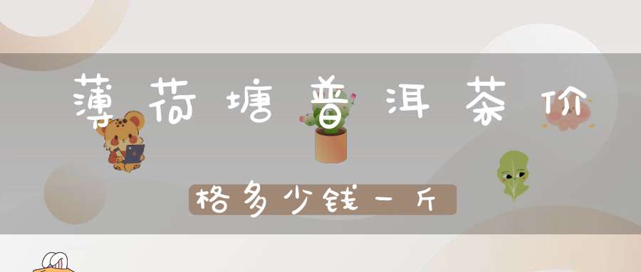 薄荷塘普洱茶价格多少钱一斤
