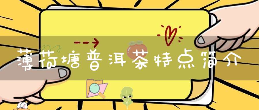 薄荷塘普洱茶特点简介