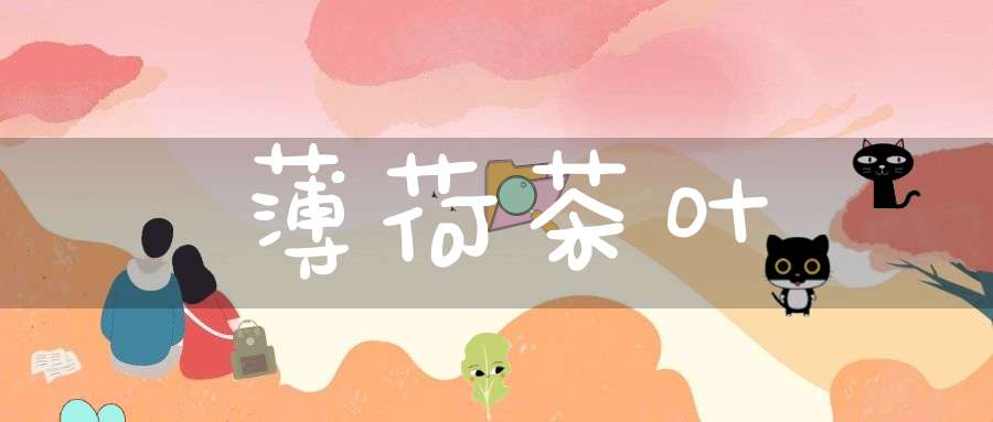 薄荷茶叶