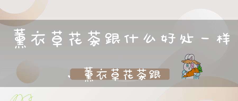 薰衣草花茶跟什么好处一样,薰衣草花茶跟什么好处相克