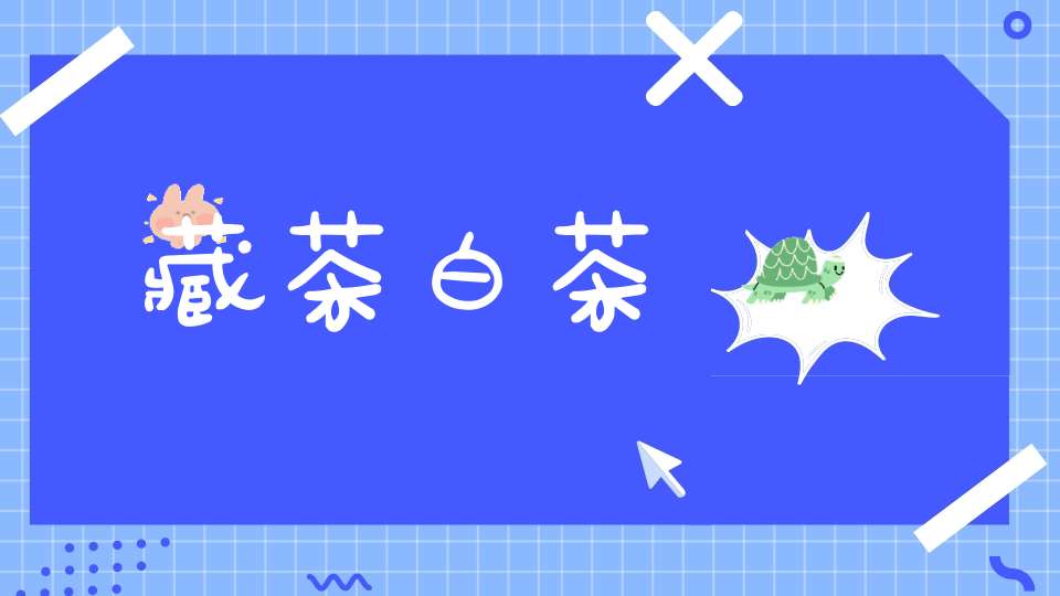 藏茶白茶