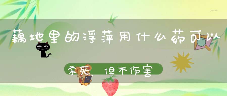 藕地里的浮萍用什么药可以杀死、但不伤害藕？