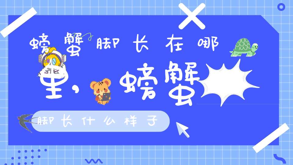 螃蟹脚长在哪里,螃蟹脚长什么样子