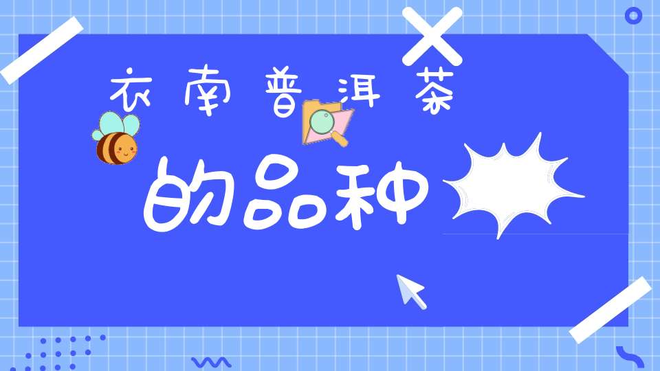 衣南普洱茶的品种