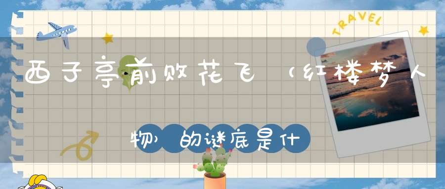 西子亭前败花飞 （红楼梦人物）的谜底是什么?