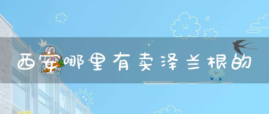 西安哪里有卖泽兰根的？
