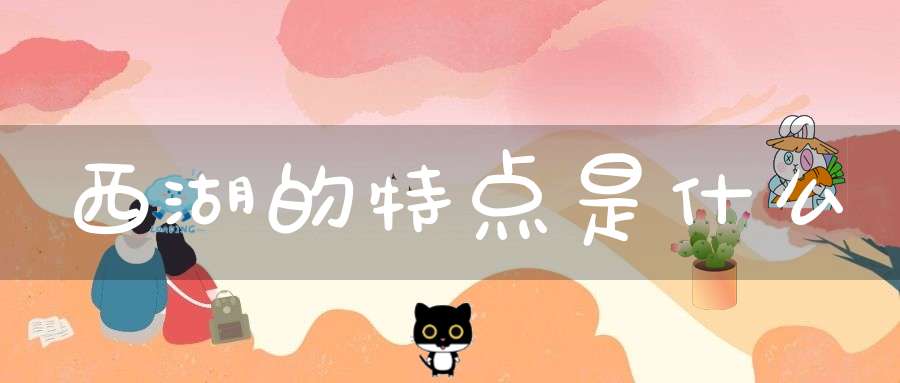 西湖的特点是什么?