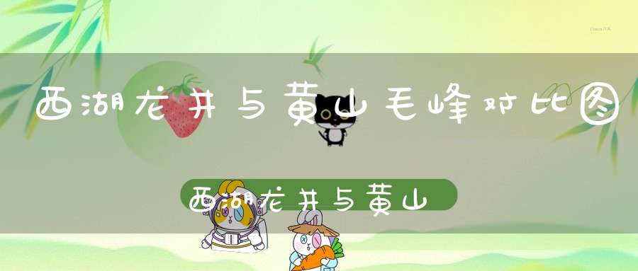 西湖龙井与黄山毛峰对比图西湖龙井与黄山毛尖哪个好