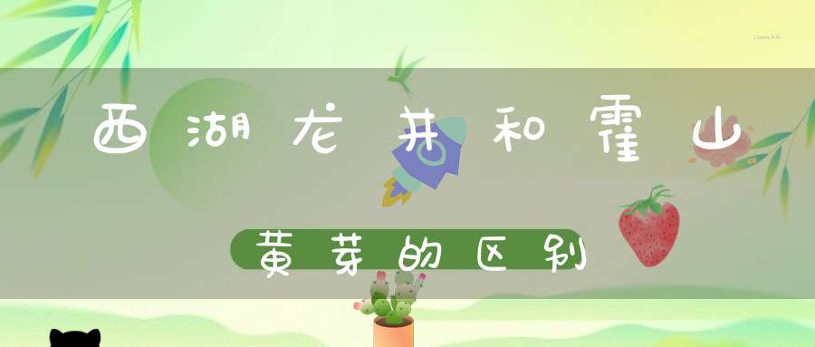 西湖龙井和霍山黄芽的区别