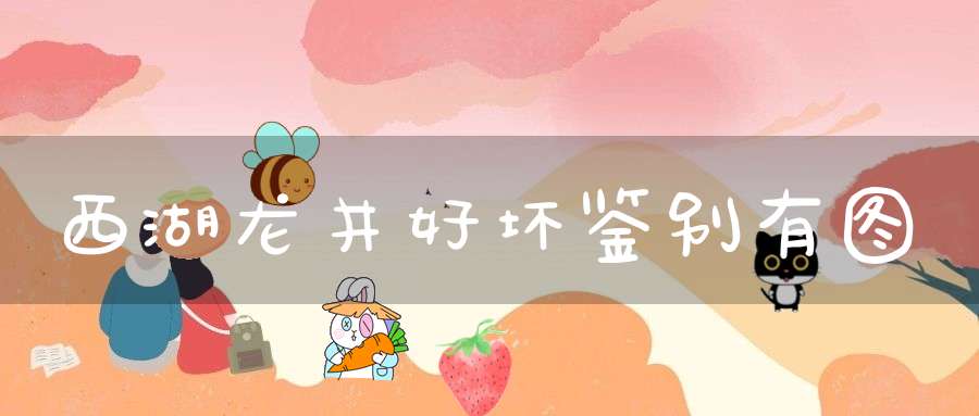 西湖龙井好坏鉴别有图