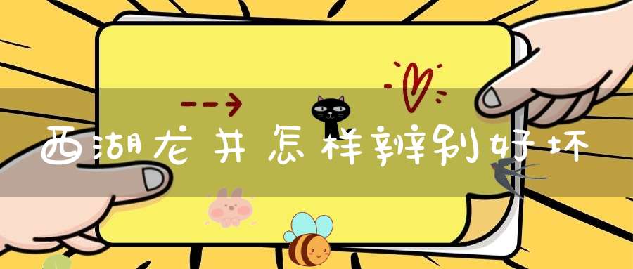 西湖龙井怎样辨别好坏