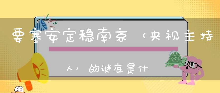 要塞安定稳南京 （央视主持人）的谜底是什么?