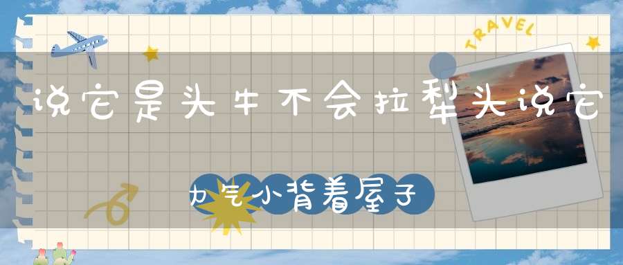 说它是头牛，不会拉犁头，说它力气小，背着屋子走。 （猜一动物）