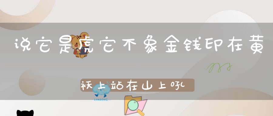 说它是虎它不象， 金钱印在黄袄上， 站在山上吼一声， 吓跑猴
