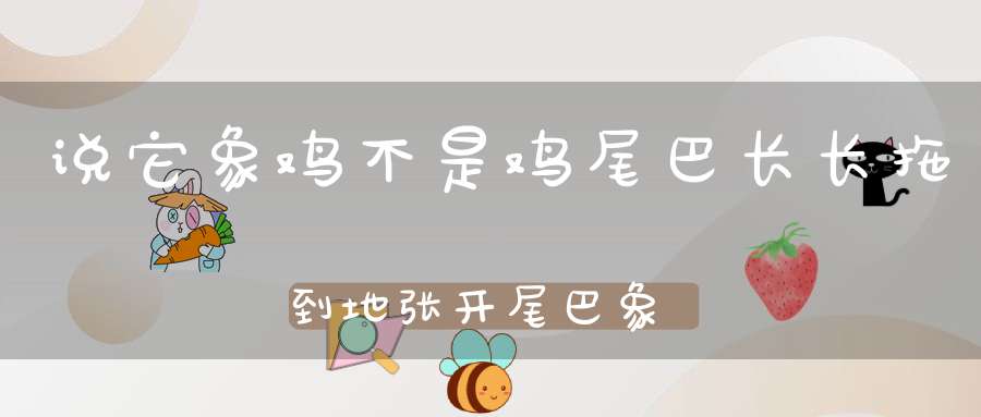 说它象鸡不是鸡，尾巴长长拖到地，张开尾巴象把扇，花花绿绿真美