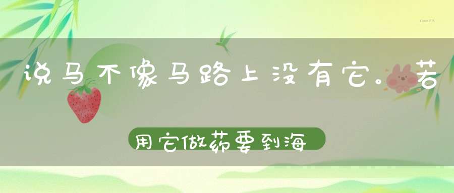说马不像马，路上没有它。若用它做药，要到海中抓（打一动物）
