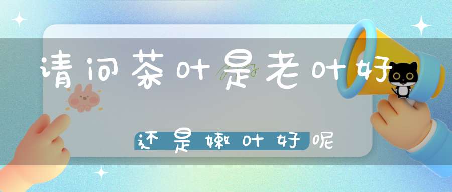 请问茶叶是老叶好还是嫩叶好呢