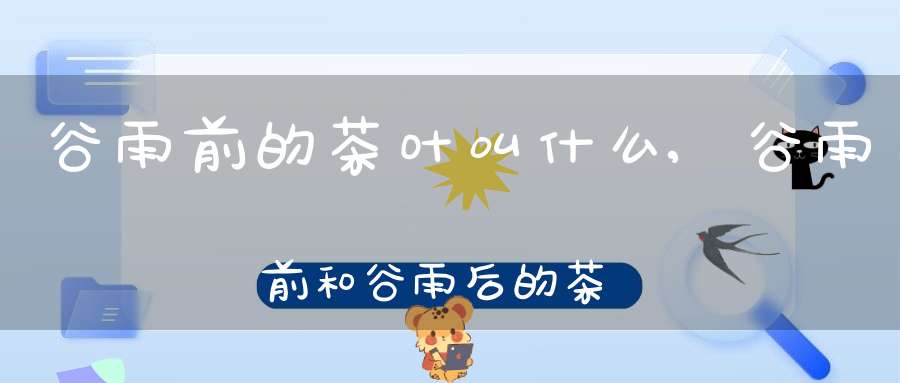 谷雨前的茶叶叫什么,谷雨前和谷雨后的茶叶有什么区别