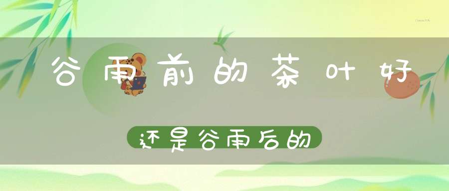 谷雨前的茶叶好还是谷雨后的