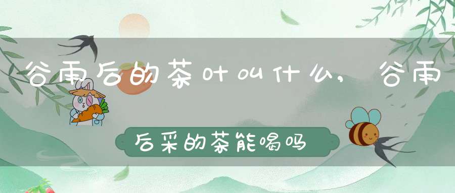 谷雨后的茶叶叫什么,谷雨后采的茶能喝吗