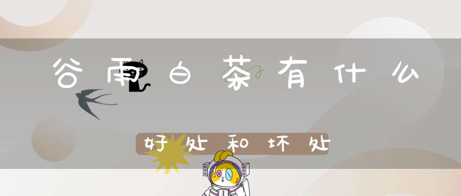 谷雨白茶有什么好处和坏处