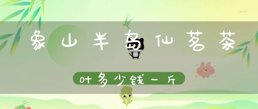 象山半岛仙茗茶叶多少钱一斤