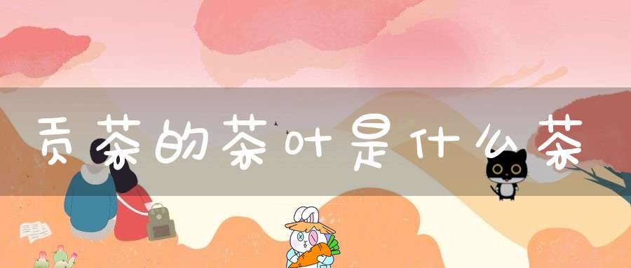 贡茶的茶叶是什么茶