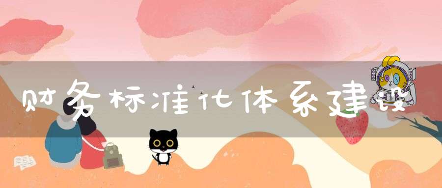 财务标准化体系建设
