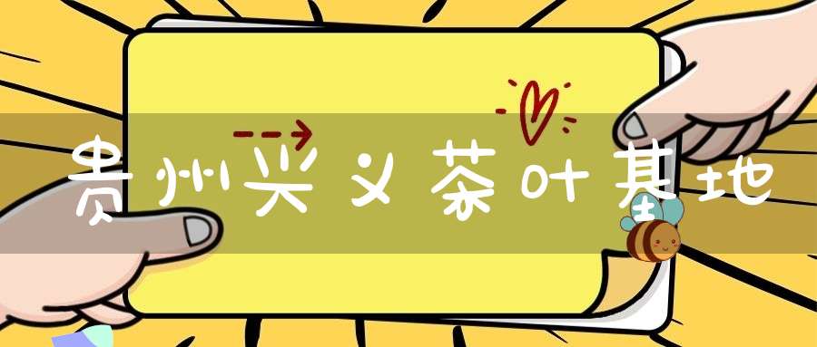 贵州兴义茶叶基地