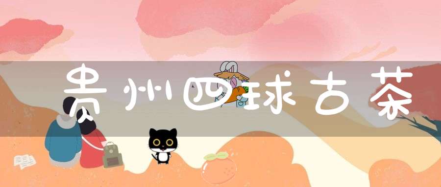 贵州四球古茶